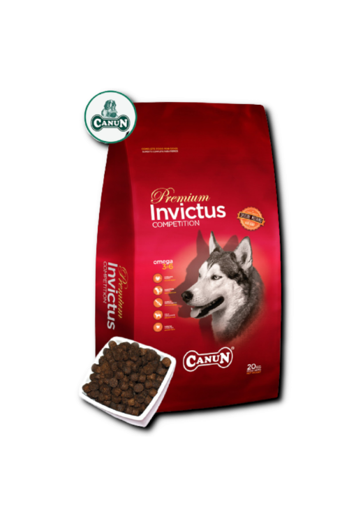 Canun Invictus 20kg karma premium dla psa z jagnięciną (mięso 30%), ryżem (25%) i rybą