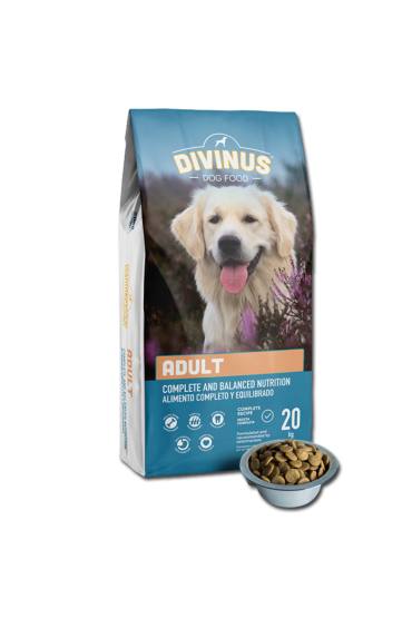 Divinus Adult dla psów dorosłych 20kg