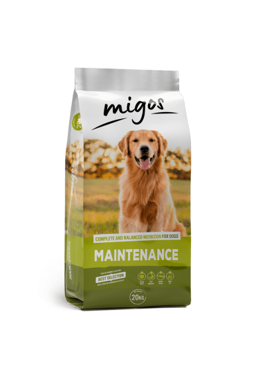Migos Maintenance 20kg