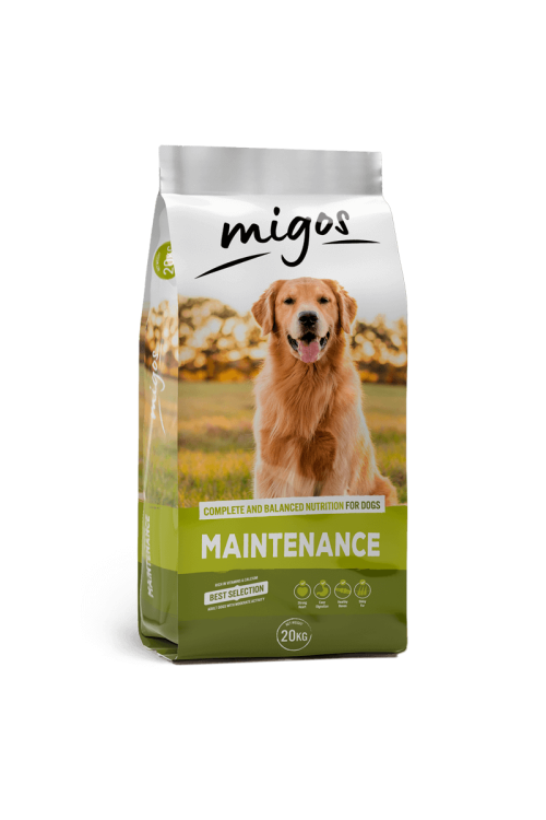 Migos Maintenance 20kg