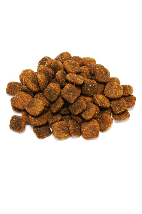 Arquivet Original wieprzowina iberyjska 12 kg