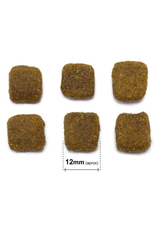 Arquivet Original Adult jagnięcina z ryżem 20 kg