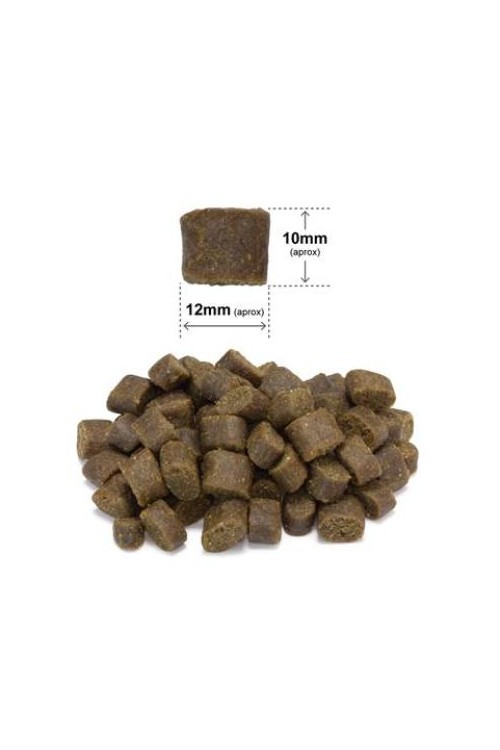 ARQUIVET FRESH Półwilgotna karma dla psa ryba oceaniczna 2,5 kg