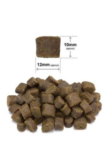 ARQUIVET FRESH Półwilgotna karma dla psa kurczak i ryba oceaniczna 2,5 kg