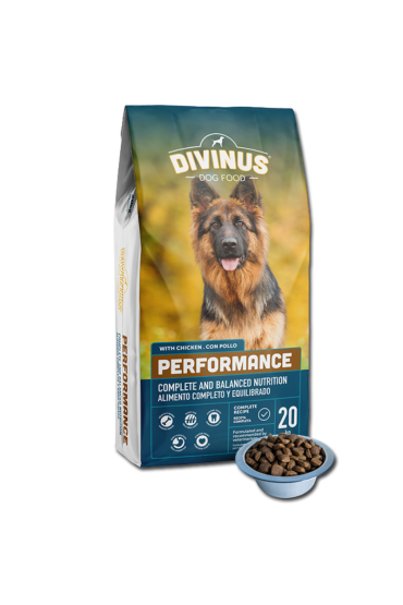 PRÓBKA Divinus Performance dla psów aktywnych 100g