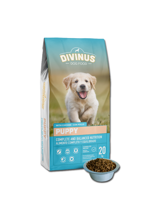 PRÓBKA Divinus Puppy 100g
