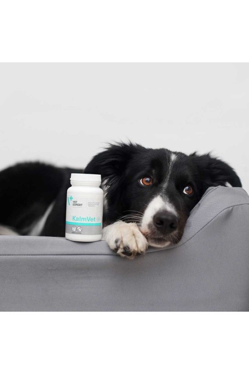 [W] VET EXPERT KALMVET 60 KAPSUŁEK