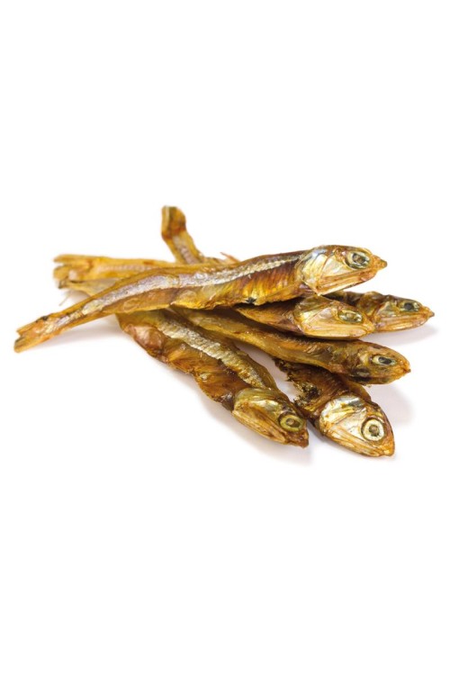 ARQUIVET Przysmak suszone rybki 100g