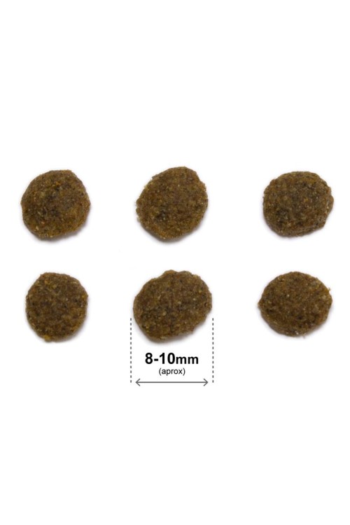 ARQUIVET CAT Original dla kotów sterylizowanych kurczak z ryżem 1,5 kg