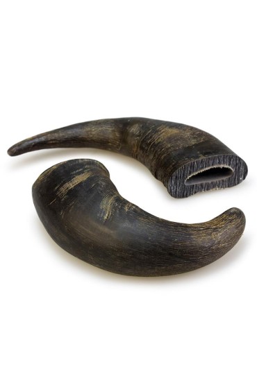 ARQUIVET Duży róg bawoli 20 cm - 1 szt