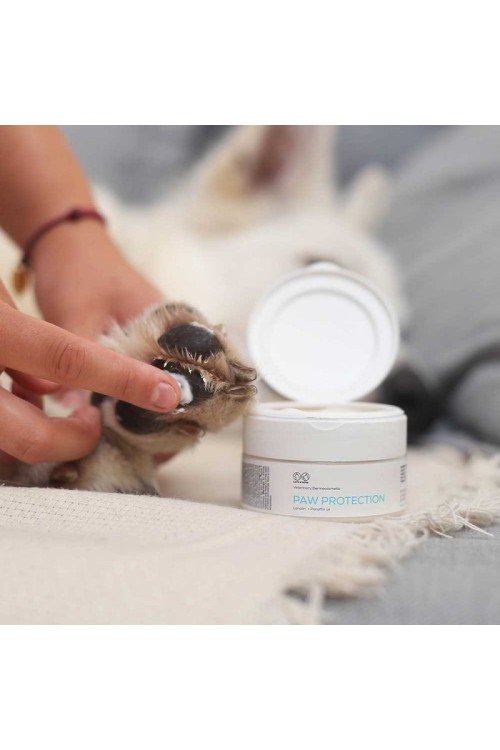 PAW PROTECTION 75 ML Maść ochronna do łap POJEMNIK