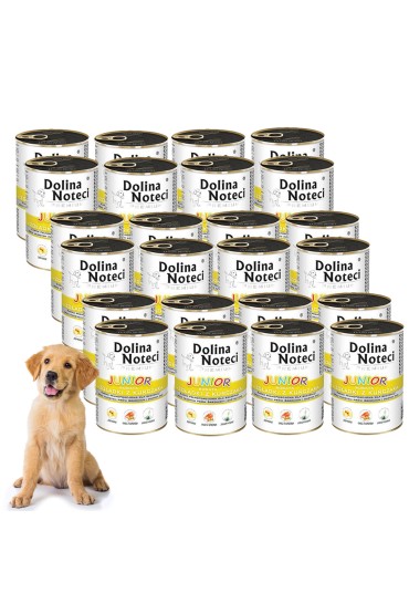 Dolina Noteci Junior bogata w żołądki z kurczaka 24 x 400 g