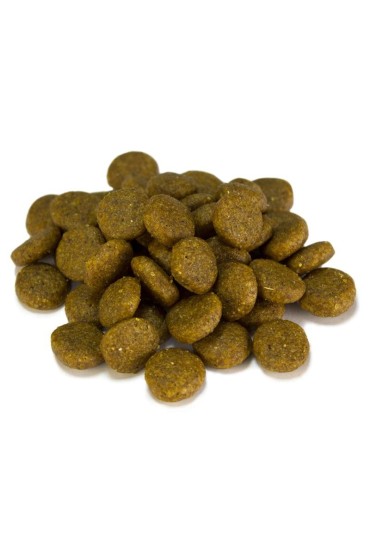 Arquivet Adult jagnięcina z ryżem 3 kg