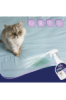 SILKY ODOR ELIMINATOR 500 ML