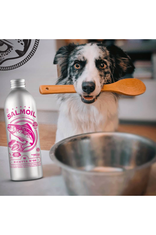 SALMOIL RICETTA 6 - JOINT  articolar 250 ML