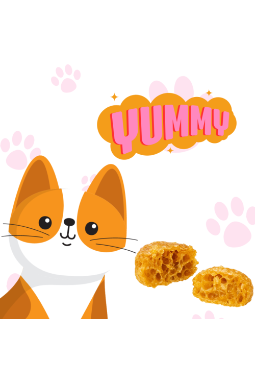 NC CAT DUCK NUGGETS ANTIAGE 85 GR