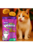 NC CAT DUCK NUGGETS INTESTINAL 85