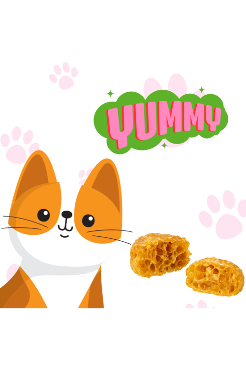 NC CAT DUCK NUGGETS INTESTINAL 85
