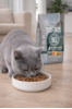 NW Kitten Turkey and Rice 1,5kg