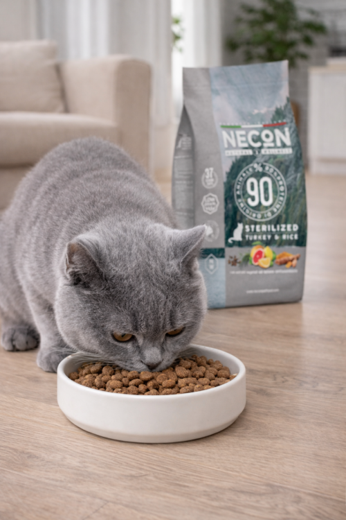 NW Kitten Turkey and Rice 1,5kg