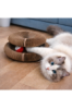 Silky Drapak Buzzy Paws Scratcher