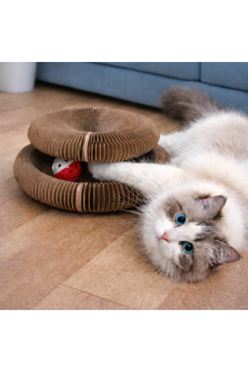 Silky Drapak Buzzy Paws Scratcher