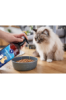 Silky 100% Natural Salmon Oil Omega 3 for Dogs And Cats 1 l